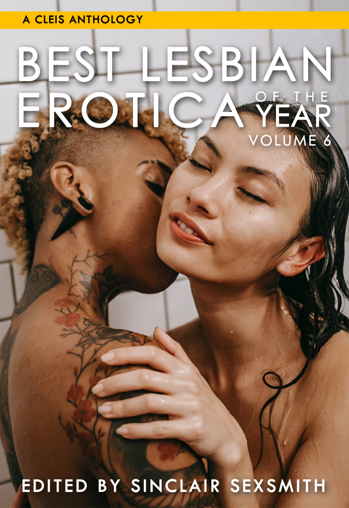 Best Lesbian Erotica Of The Year 6th Edition Sinclair Sexsmith