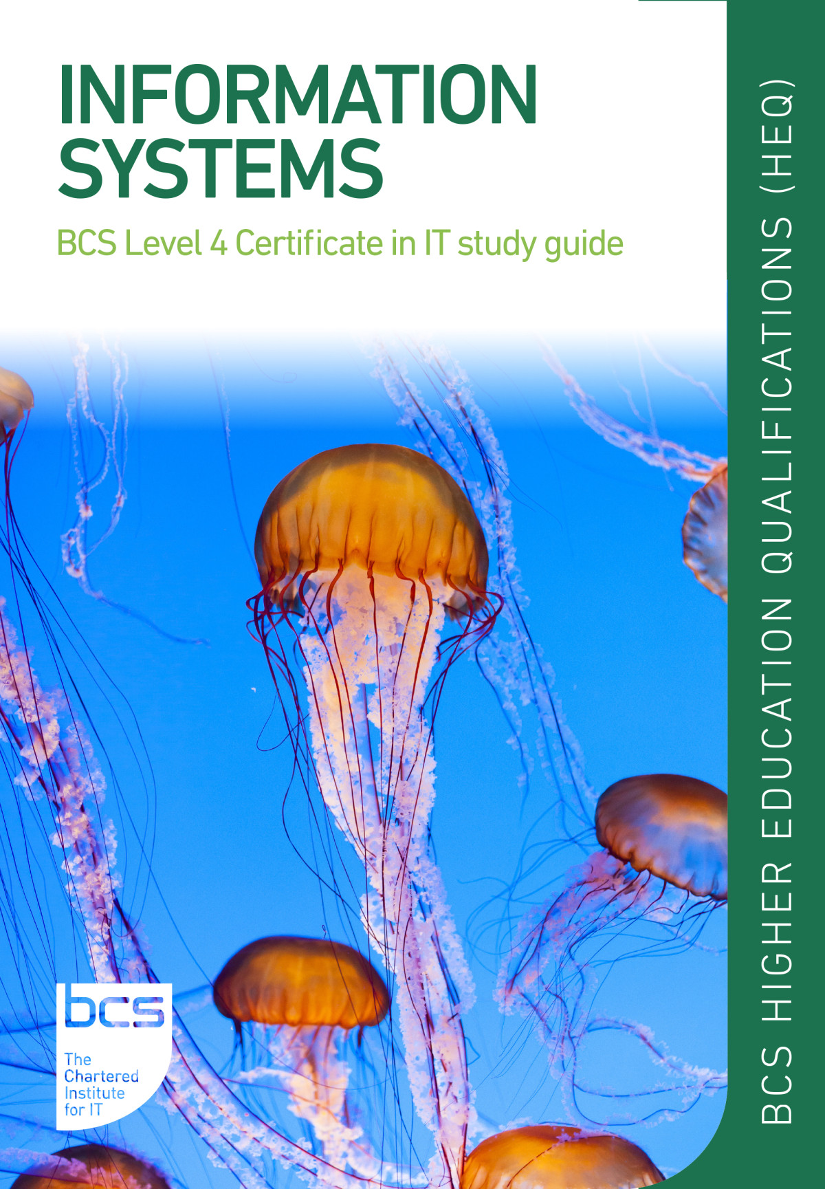 Information Systems Bcs Level 4 Certificate In It Study Guide Ian Huke Stephen Mariadas