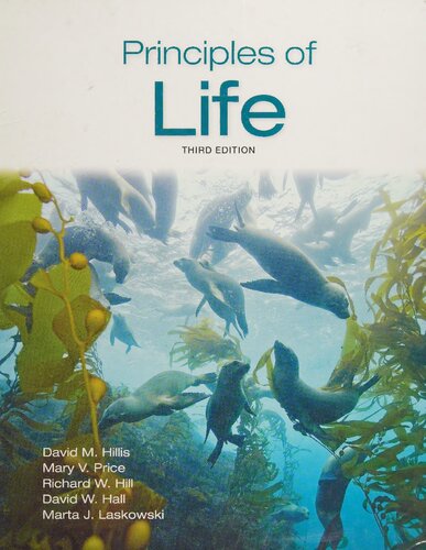 Principles Of Life 3rd Edition David M Hillis Mary V Price