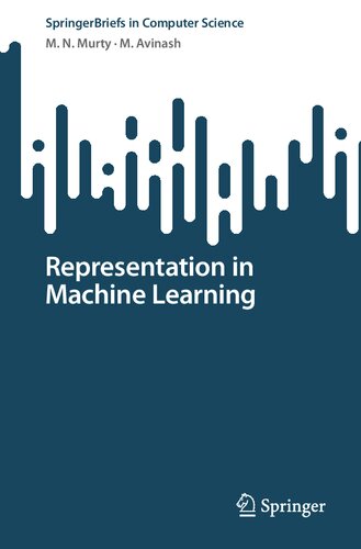 Representation In Machine Learning M N Murty M Avinash