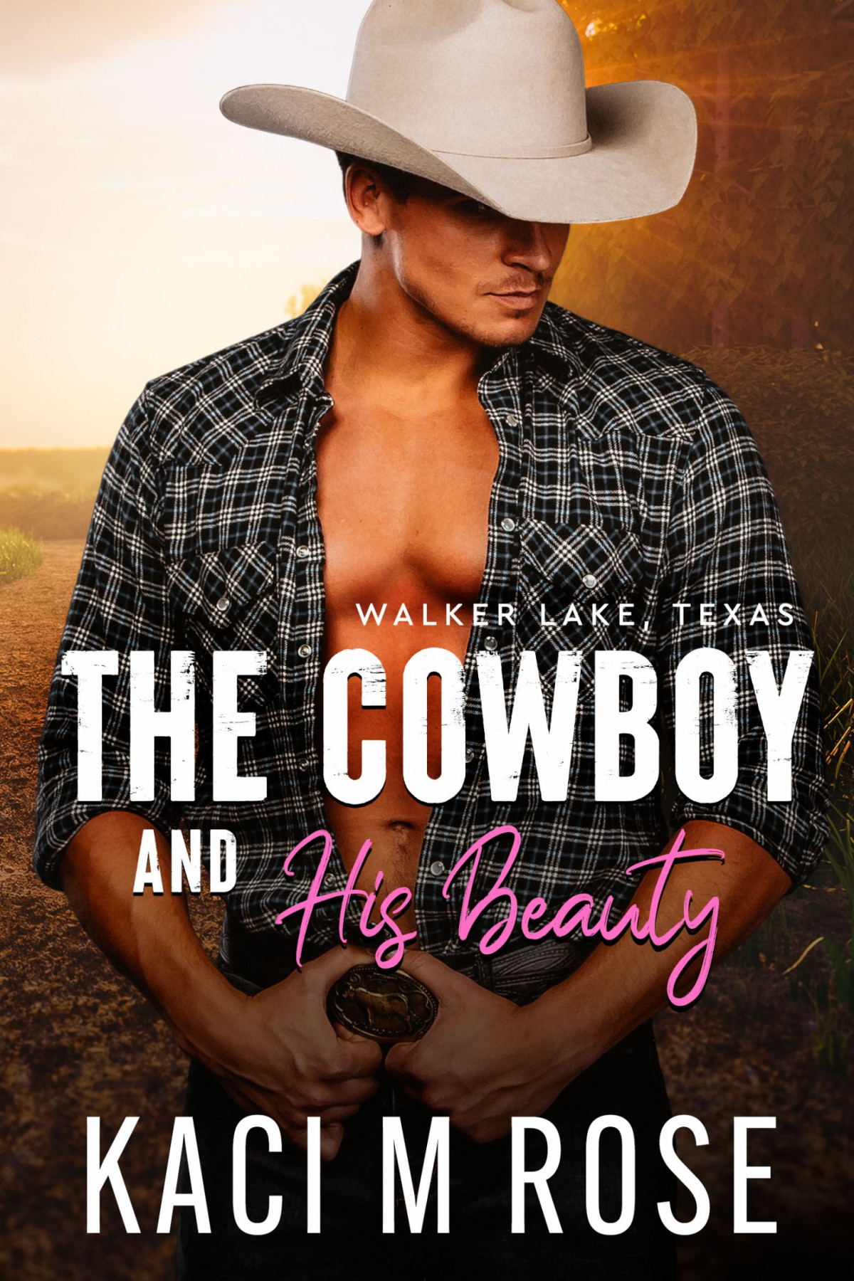 The Cowboy And His Beauty Kaci M Rose