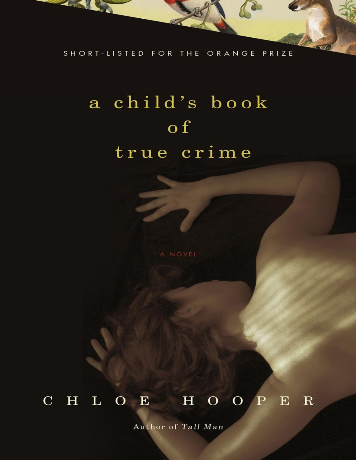 A Childs Book Of True Crime Chloe Hooper