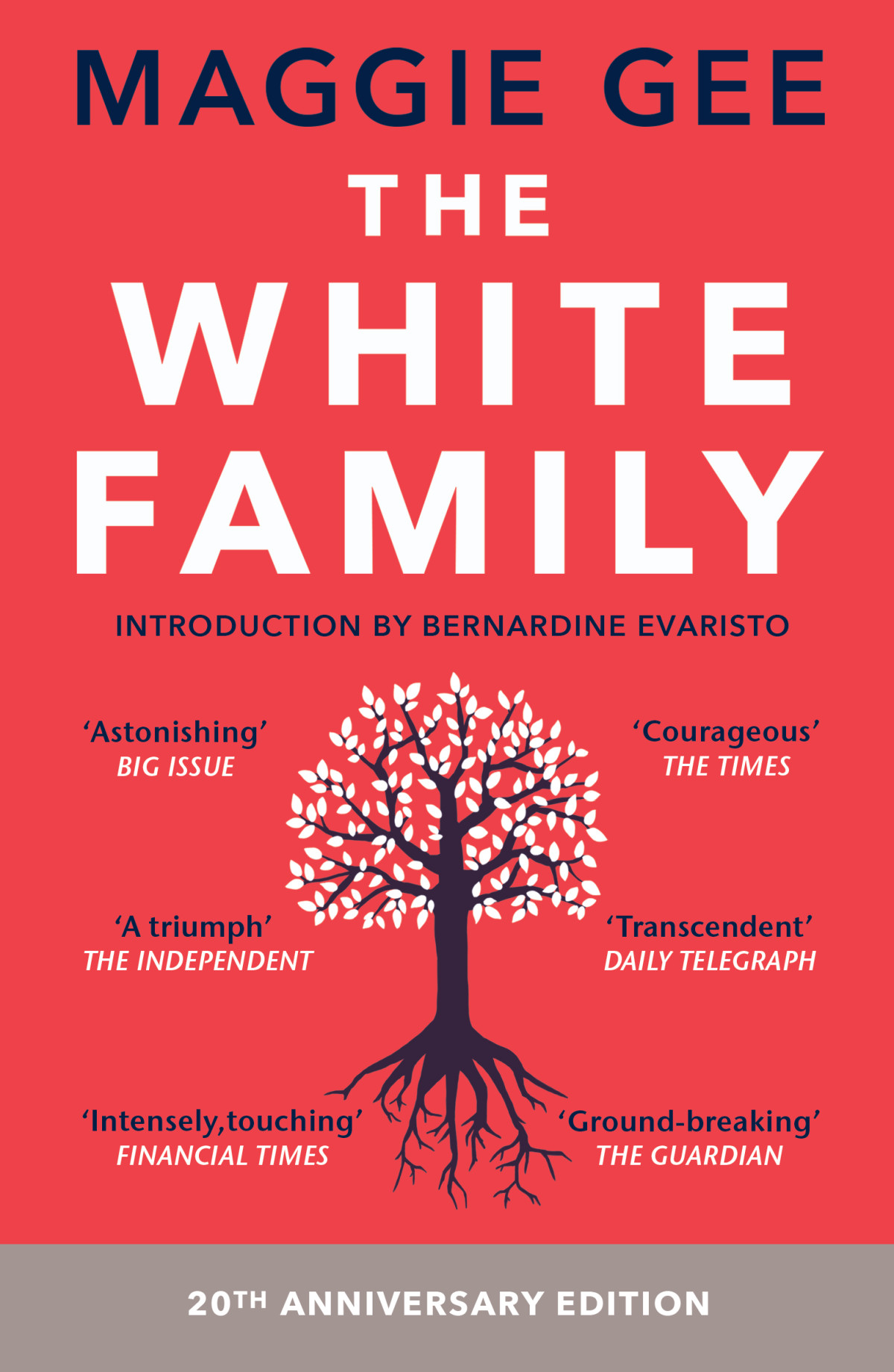 The White Family 20th Anniversary Edition Maggie Gee