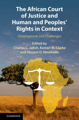 The African Court Of Justice And Human And Peoples Rights In Context Development And Challenges Charles C Jalloh