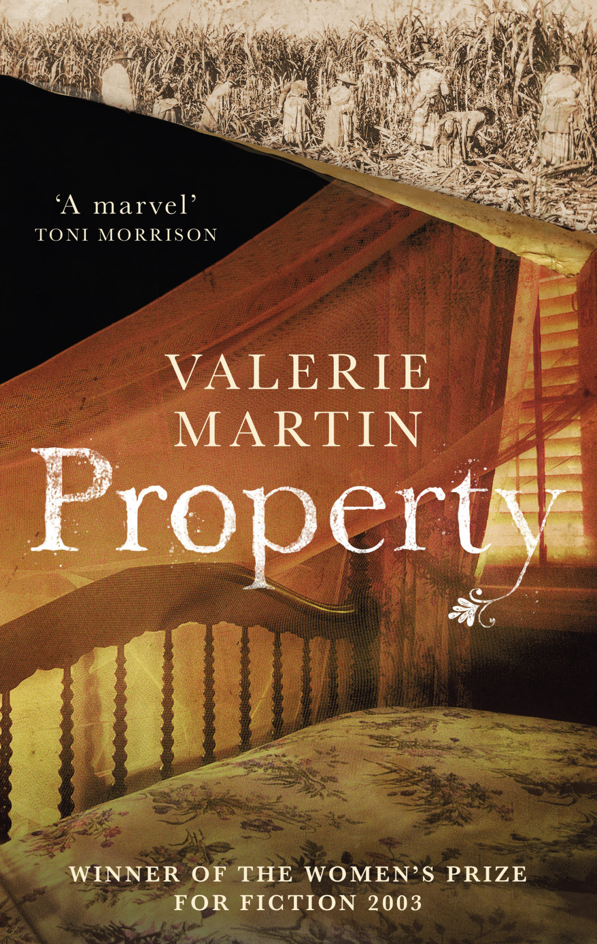 Property Valerie Martin