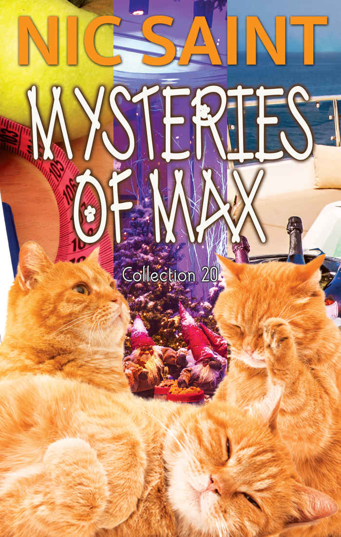 Mysteries Of Max Collection 20 Mysteries Of Max Books 5860 Nic Saint