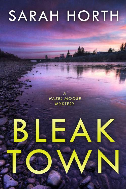 Bleak Town A Hazel Moore Mystery Sarah Horth