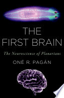 The First Brain On R Pagn