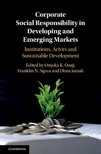 Corporate Social Responsibility In Developing And Emerging Markets Institutions Actors And Sustainable Development Onyeka Osuji