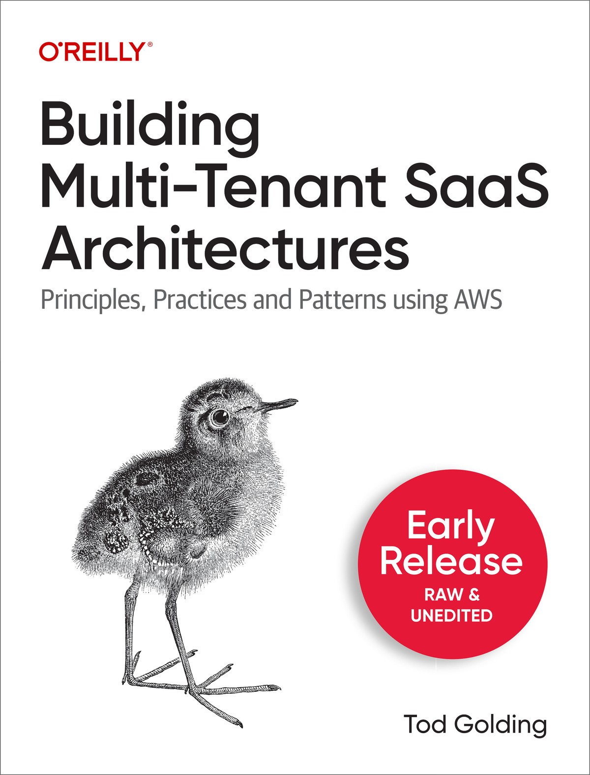 Building Multitenant Saas Architectures Early Release Tod Golding