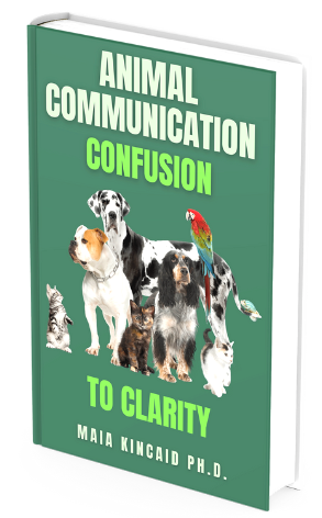 Animal Communication Mistaken Beliefs Cause Confusion Maia Kincaid Phd