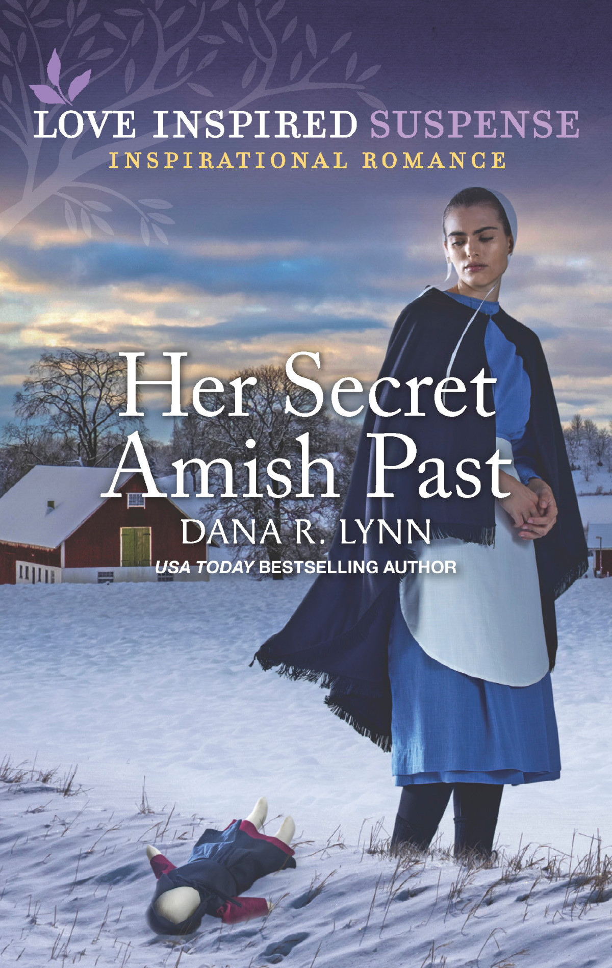 Her Secret Amish Past Dana R Lynn