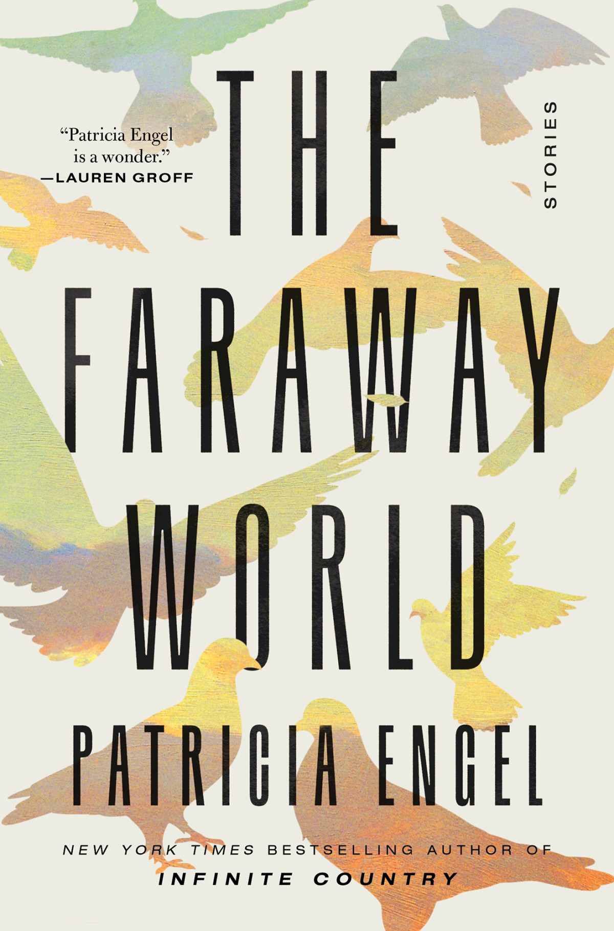 The Faraway World Stories Patricia Engel