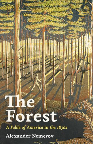 The Forest A Fable Of America In The 1830s 1st Edition Alexander Nemerov