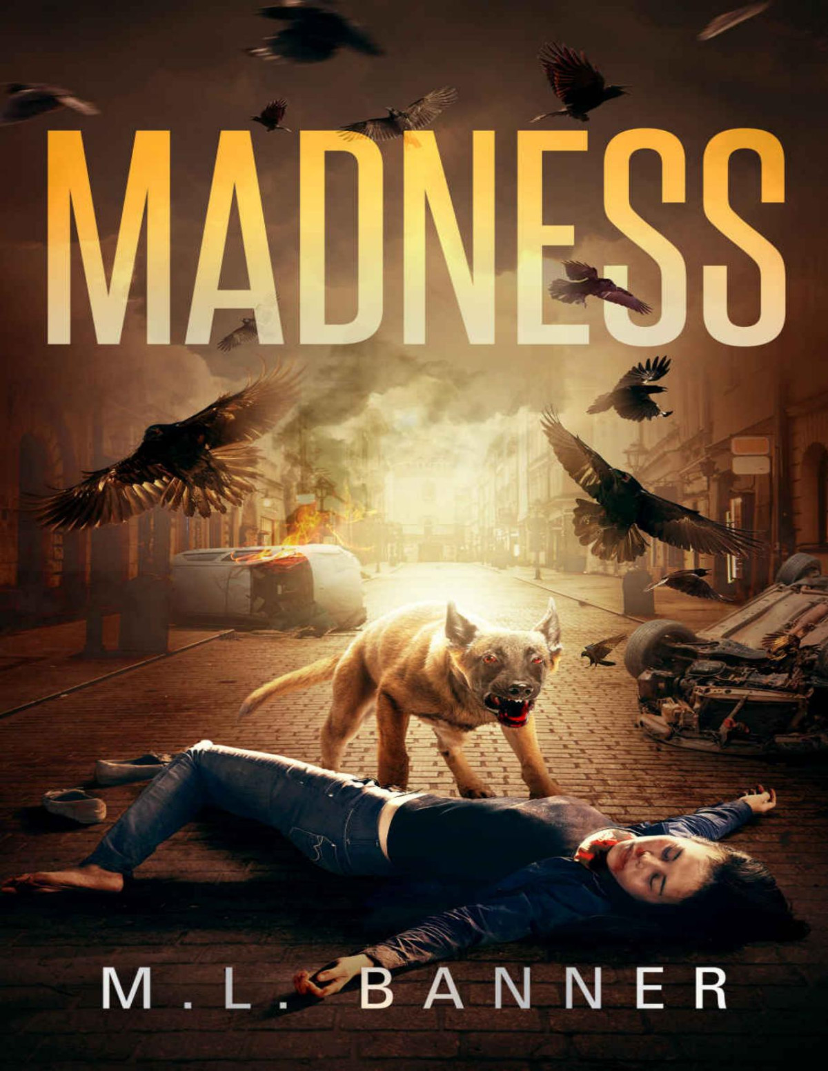 Madness M L Banner