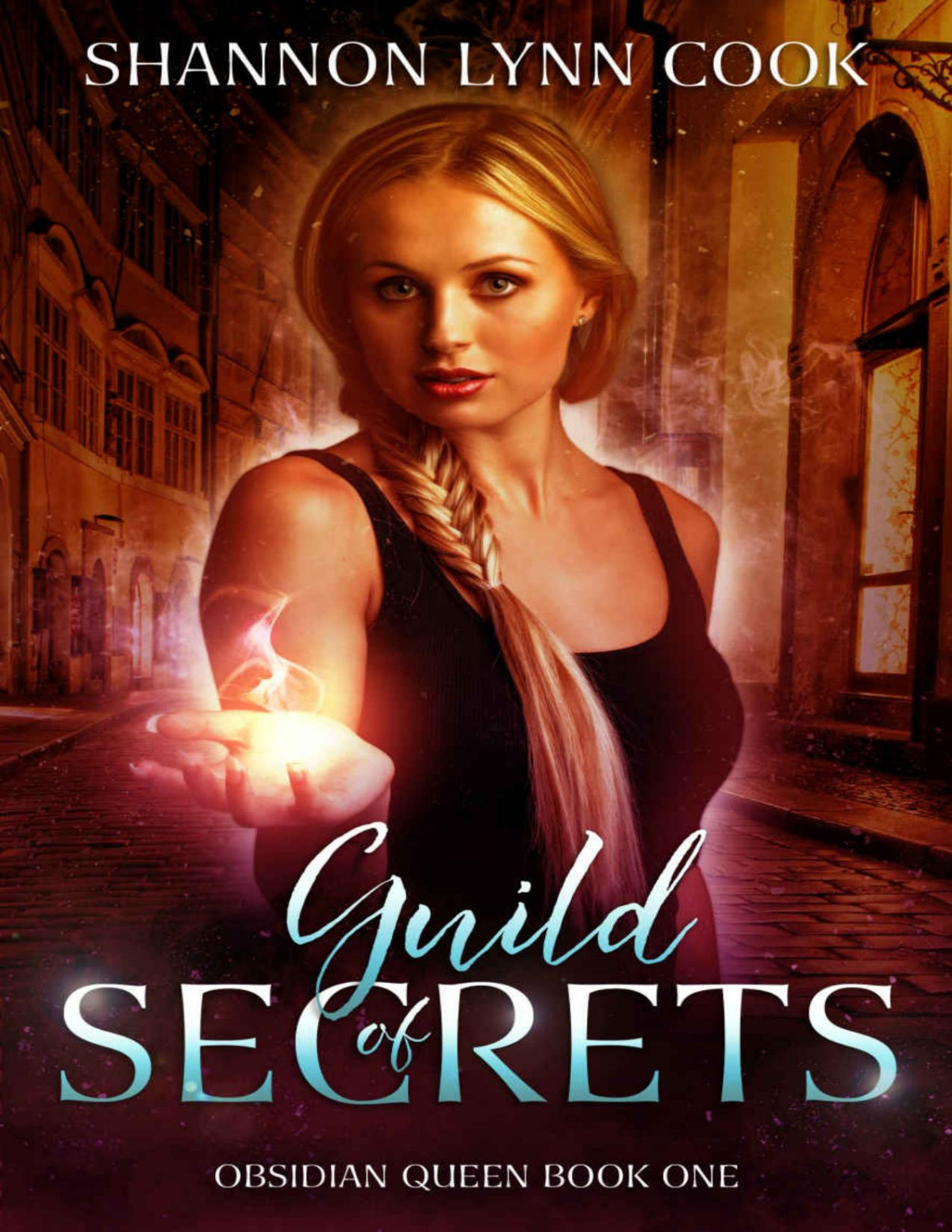 Guild Of Secrets 2nd Edition Shannon Lynn Cook