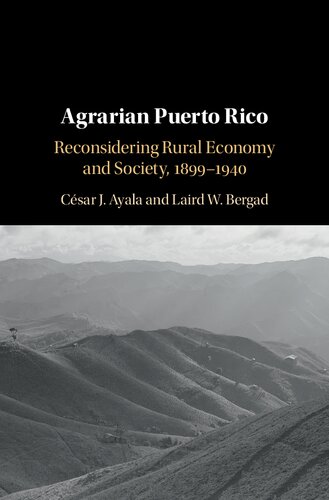 Agrarian Puerto Rico Reconsidering Rural Economy And Society 18991940 Csar J Ayala Laird W Bergad