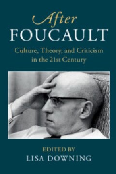 After Foucault Culture Theory And Criticism In The 21st Century 1st Edition Lisa Downing