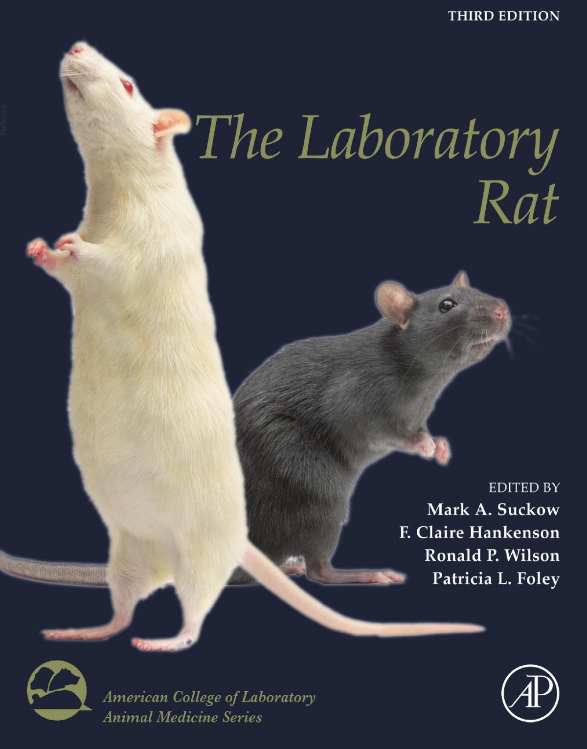 The Laboratory Rat 3rd Edition 3rd Suckow Mark A Hankenson