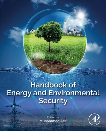 Handbook Of Energy And Environmental Security Muhammad Asif