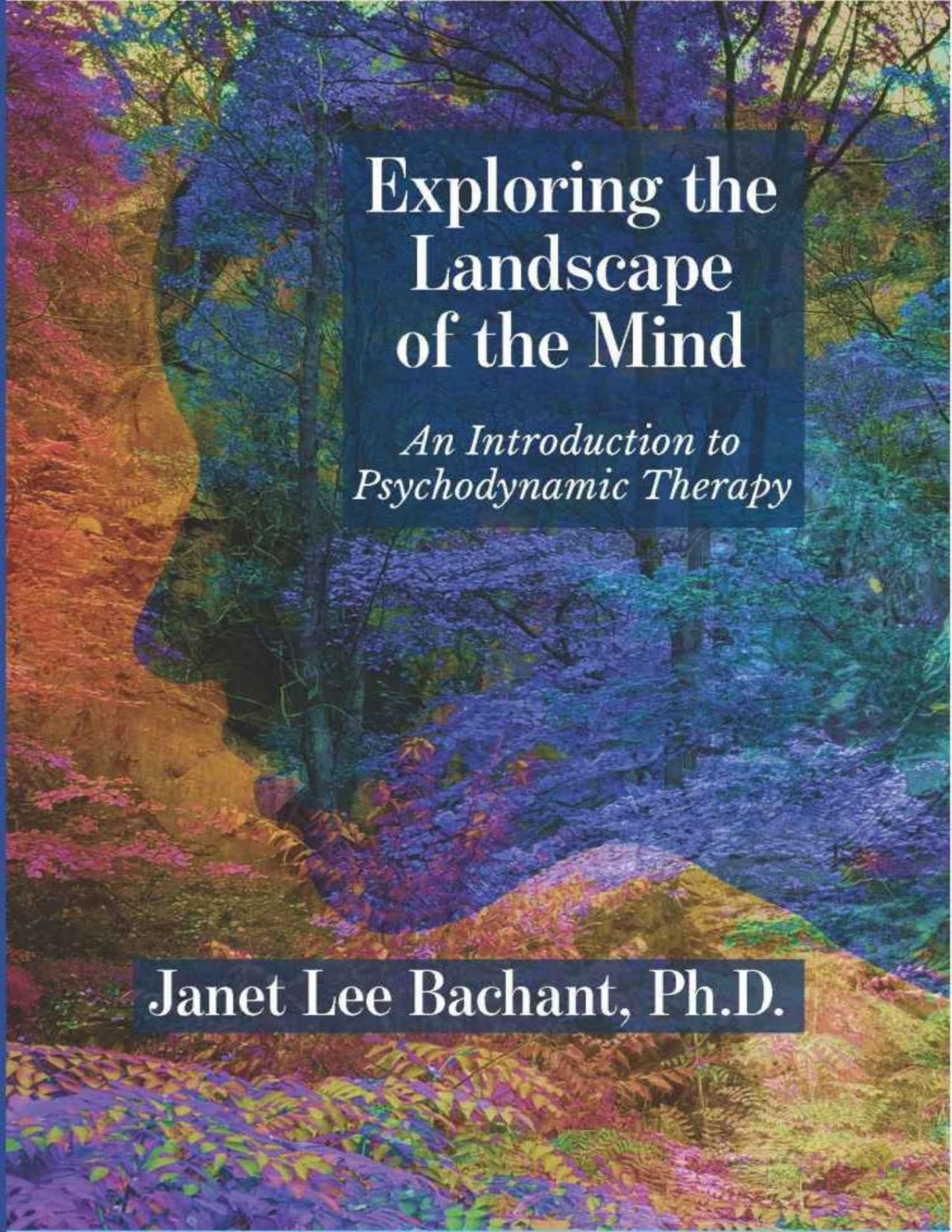 Exploring The Landscape Of The Mind An Introduction To Psychodynamic Therapy Janet Lee Bachant