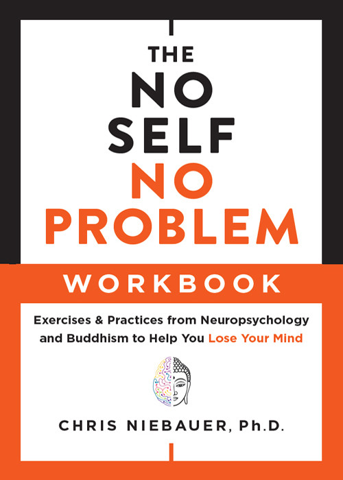 The No Self No Problem Workbook Chris Niebauer