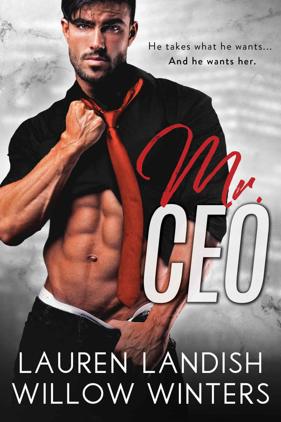 Mr Ceo Landish Lauren Winters Willow