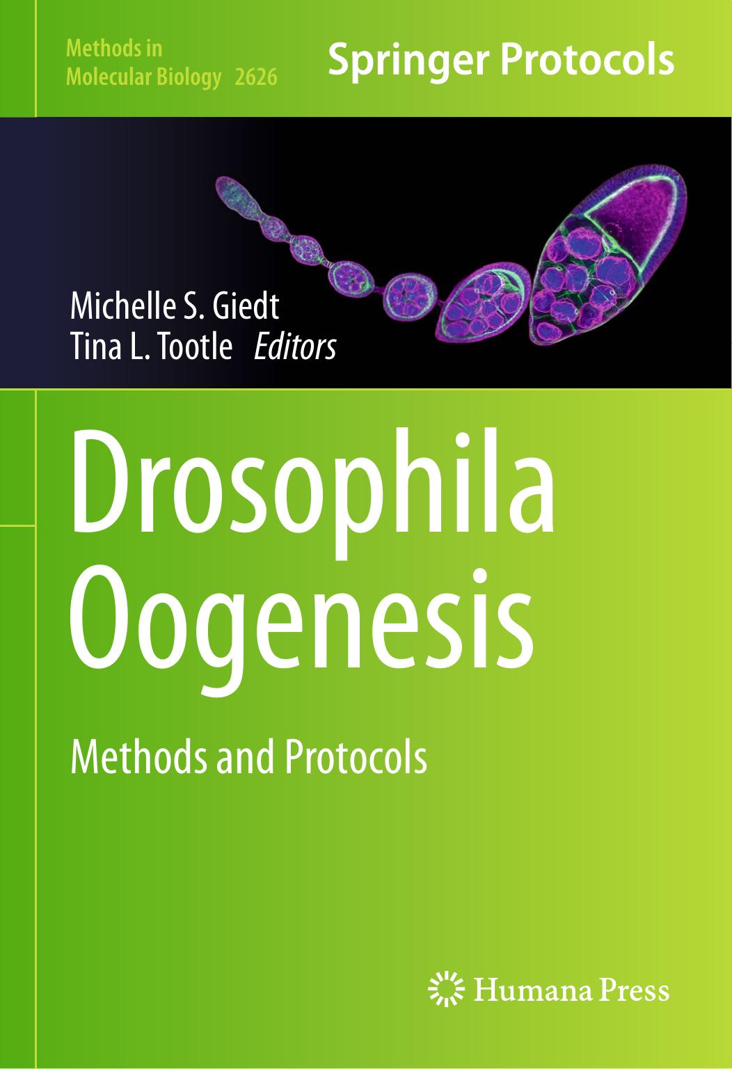Drosophila Oogenesis Methods And Protocols Michelle S Giedt