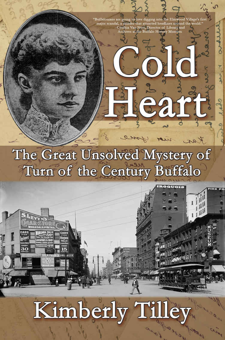 Cold Heart The Great Unsolved Mystery Of Turn Of The Century Buffalo Kimberly Tilley