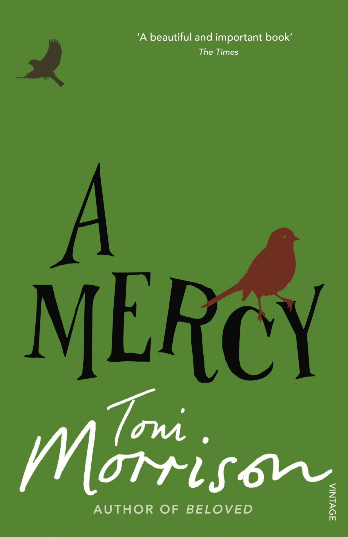 A Mercy Toni Morrison