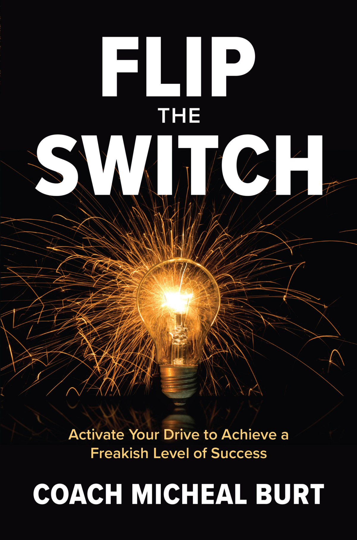 Flip The Switch Activate Your Drive To Achieve A Freakish Level Of Success Coach Micheal Burt