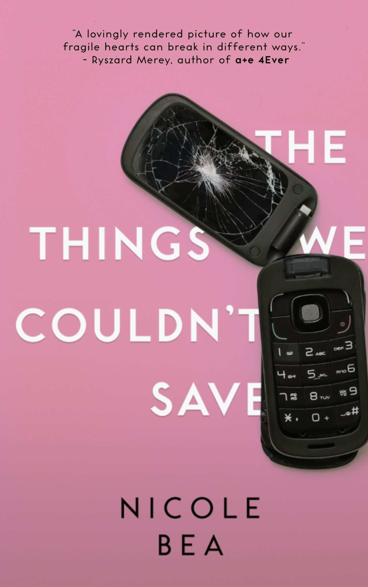 The Things We Couldnt Save Nicole Bea