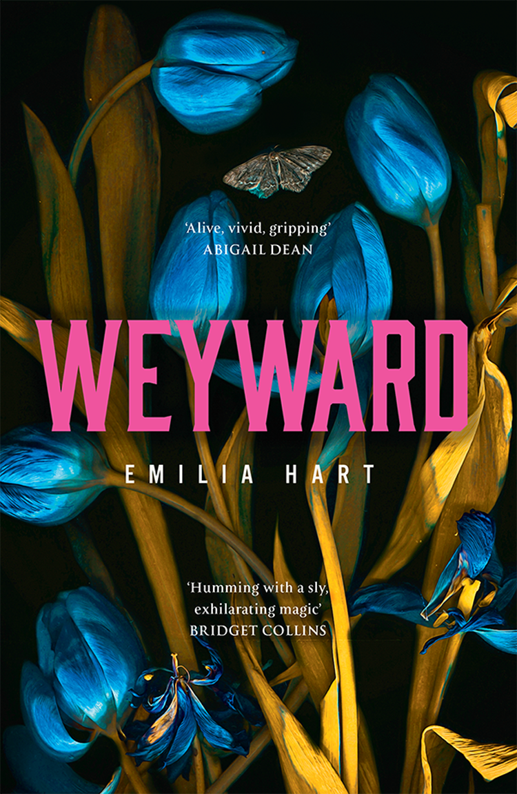 Weyward A Novel Emilia Hart