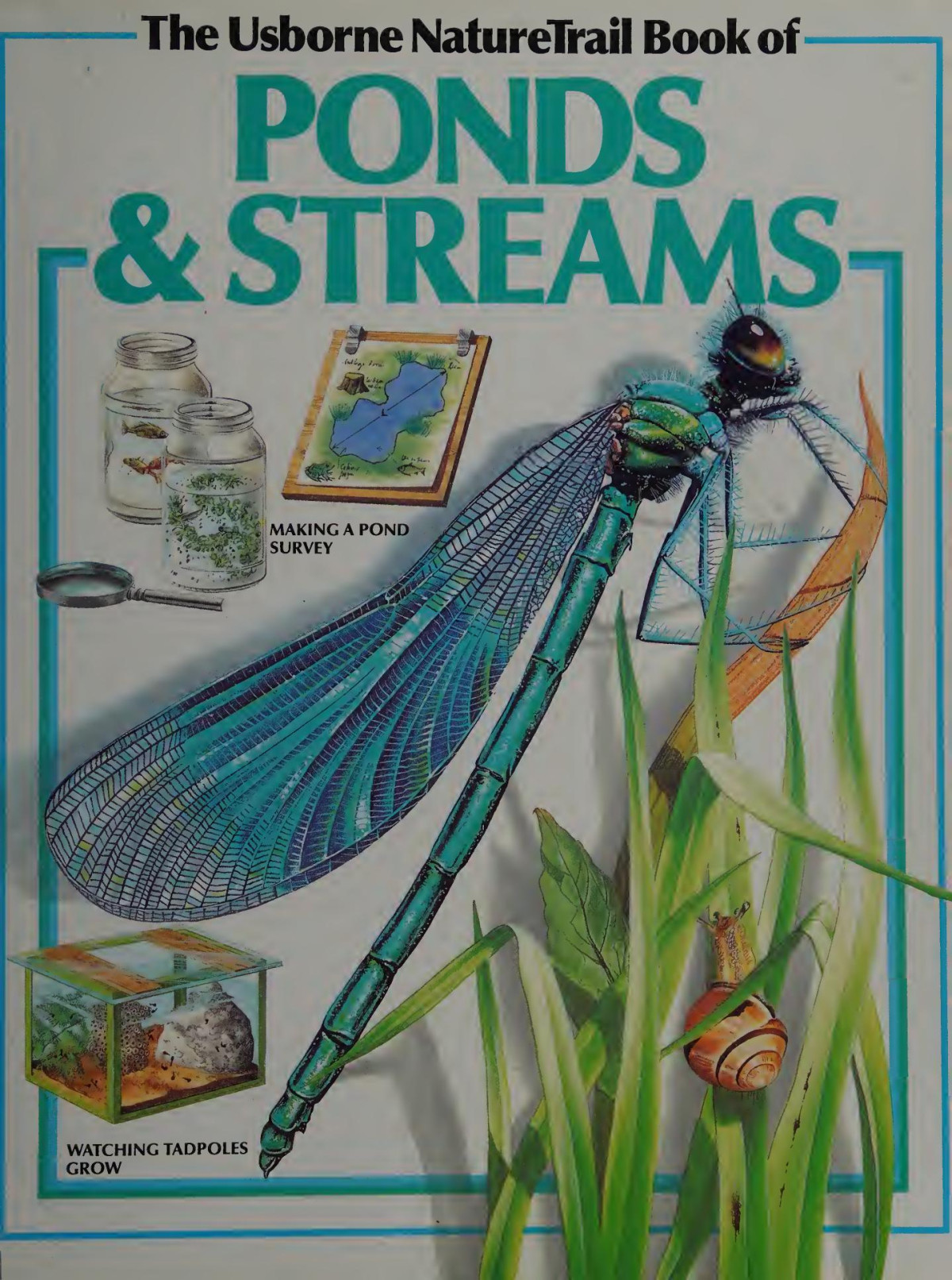 Usborne Nature Trail Book Of Ponds And Streams Swallow Su