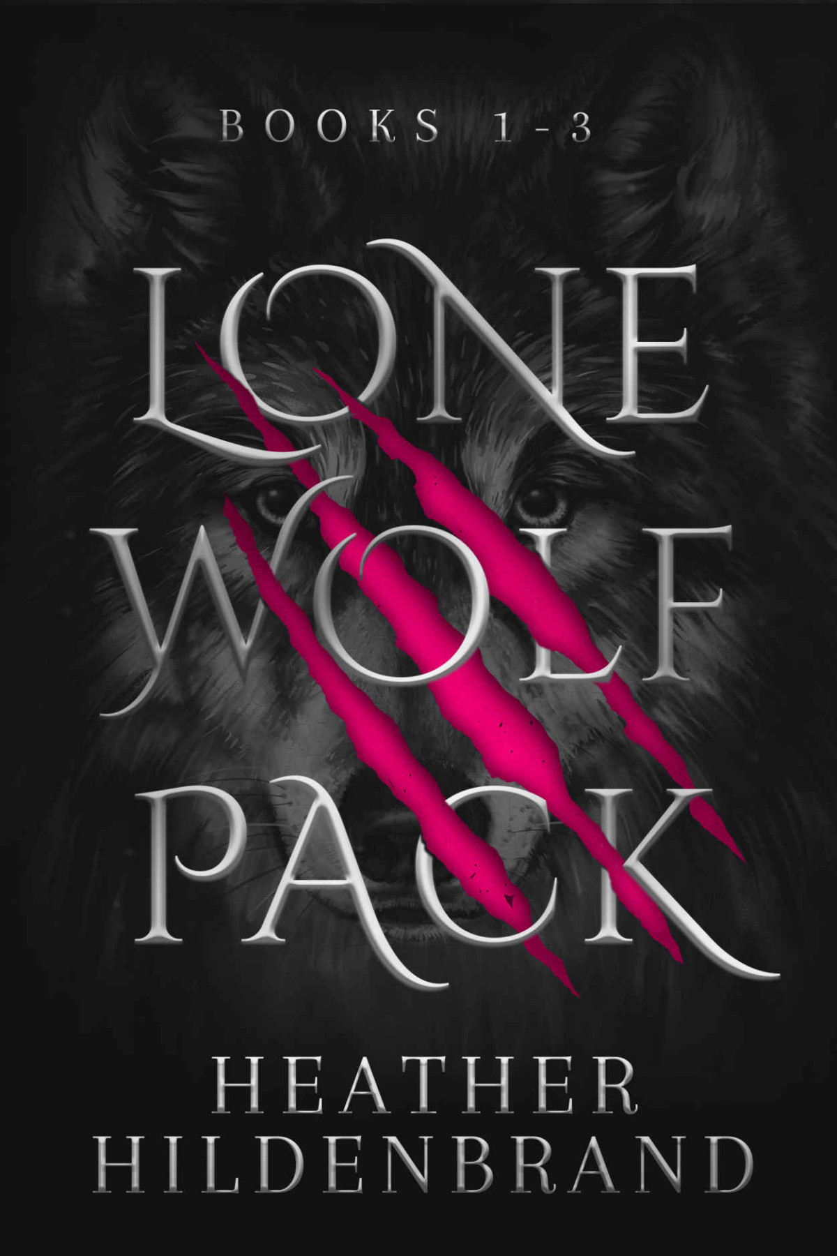 The Lone Wolf Pack Books 13 1st Edition Heather Hildenbrand