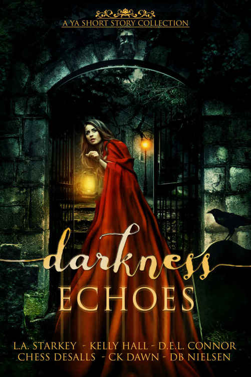 Darkness Echoes A Spooky Ya Short Story Collection La Starkey Kelly Hall Del Connor Chess Desalls Ck Dawn Db Nielsen