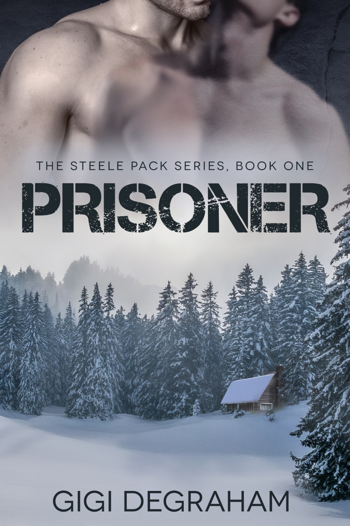 Prisoner Steele Pack Book 1 Gigi Degraham