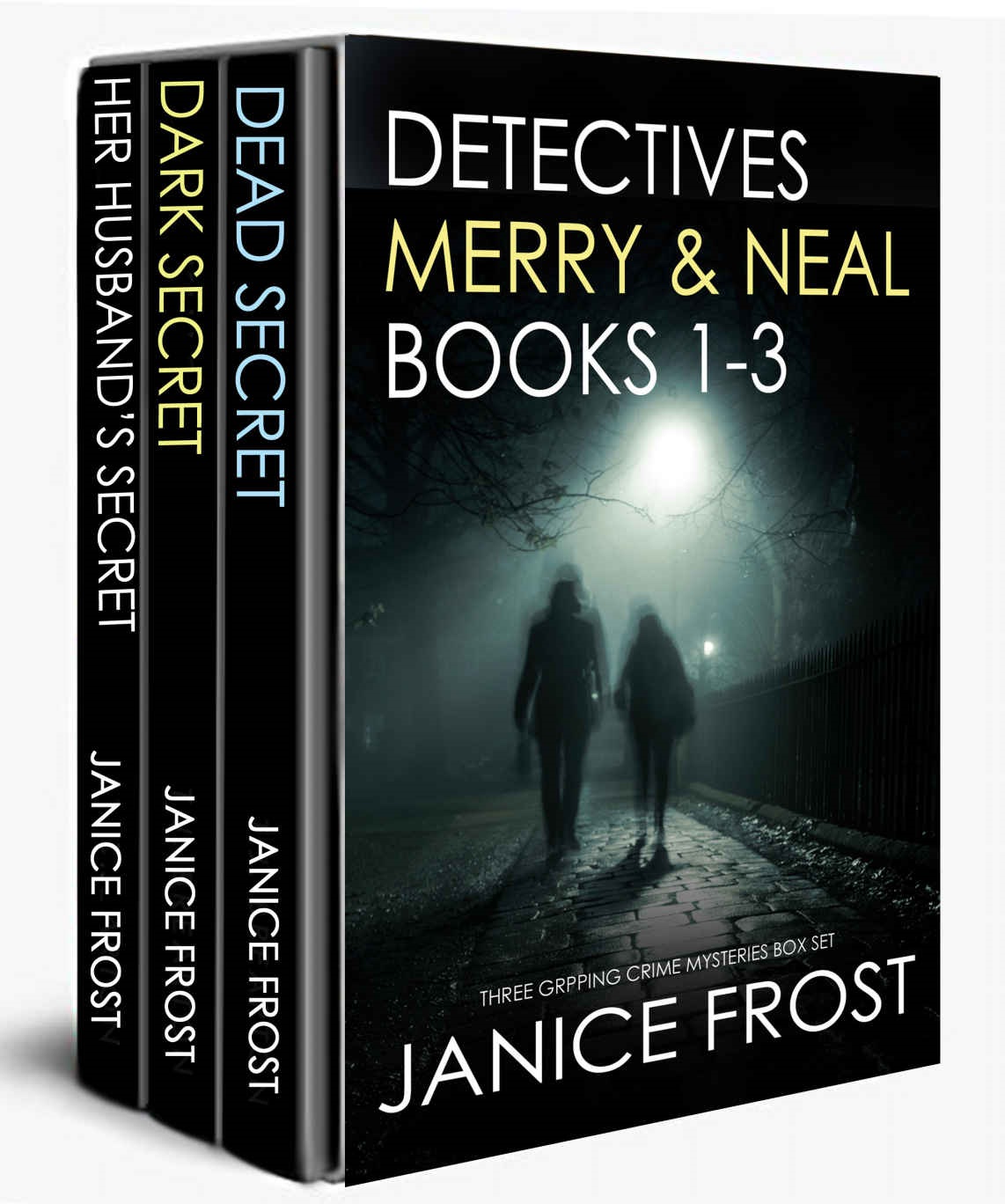 Detectives Merry Neal Box Set Books 13 Janice Frost