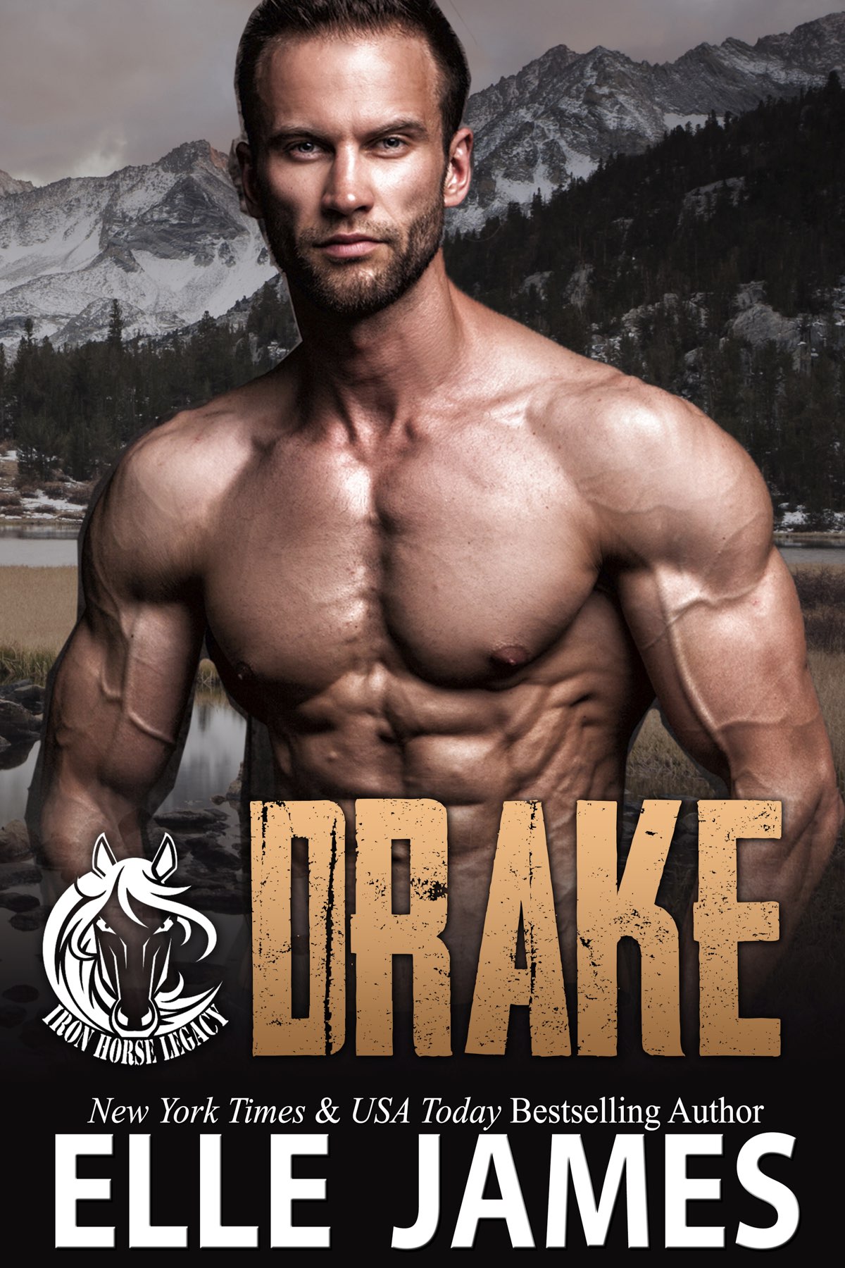 Drake 1st Edition Elle James