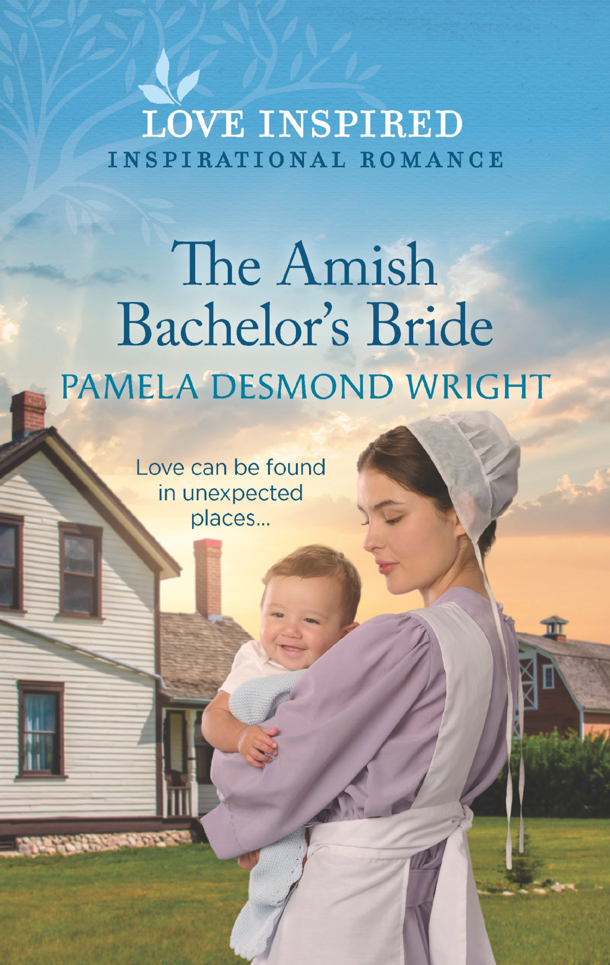 The Amish Bachelors Bride Pamela Desmond Wright