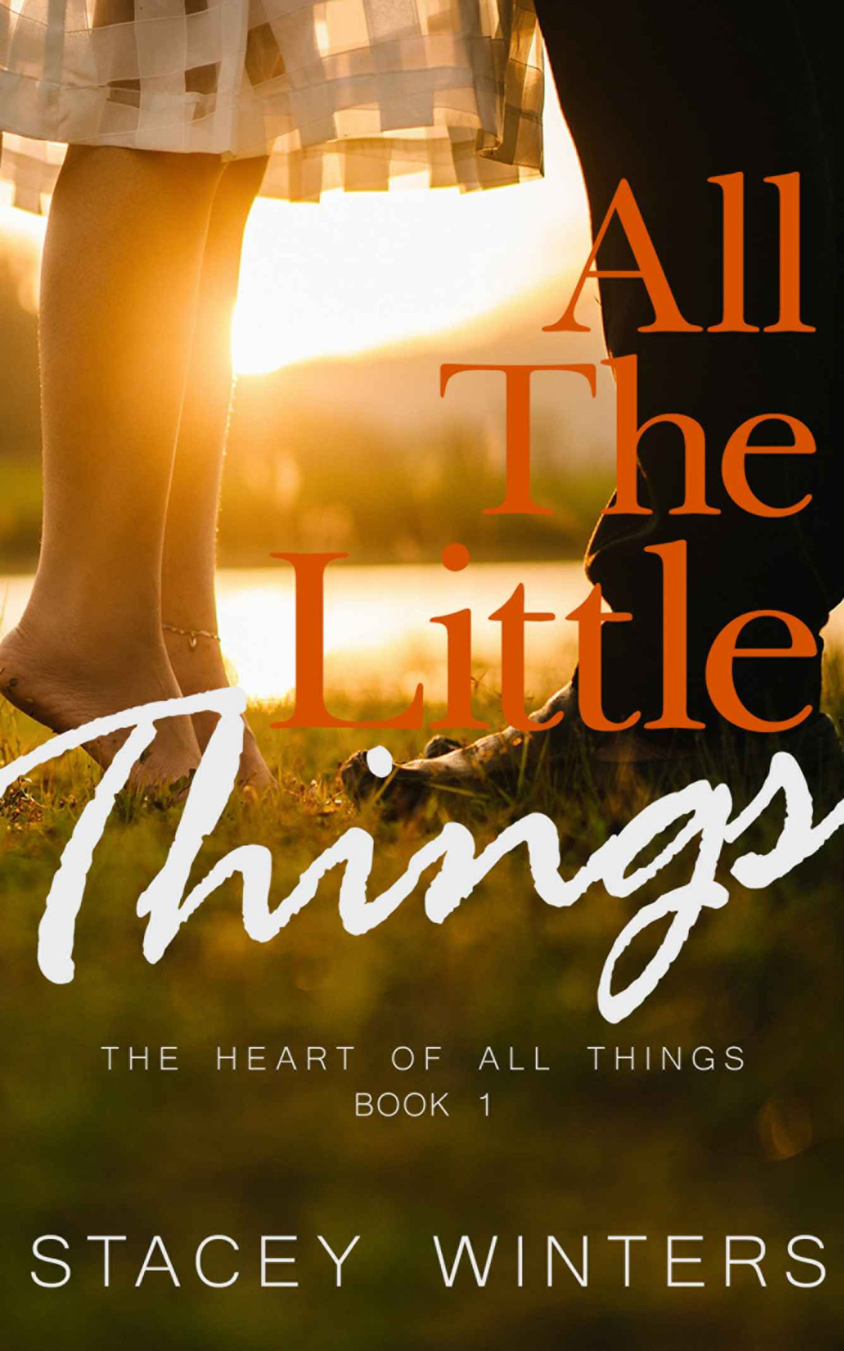 All The Little Things The Heart Of All Things Book 1 Stacey Winters