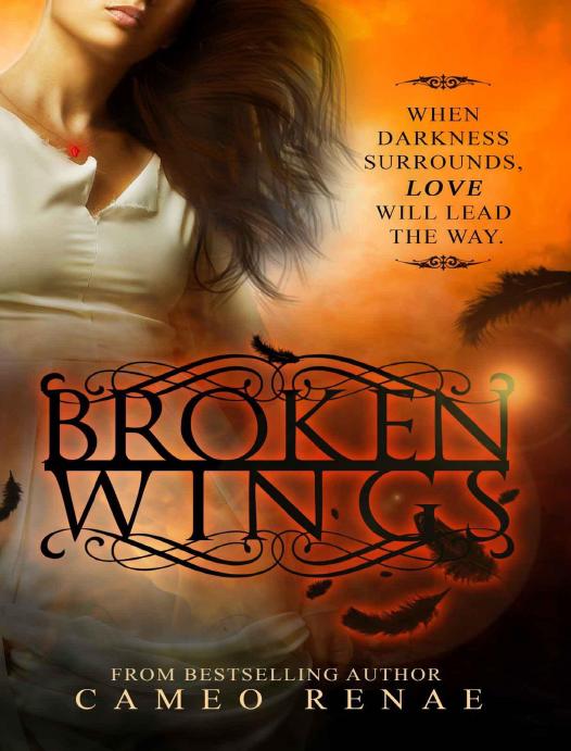 Broken Wings Hidden Wings Series Book Two Cameo Renae