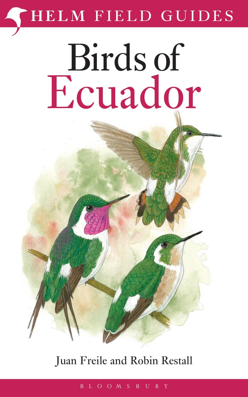 Birds Of Ecuador Robin Restall Juan Freile