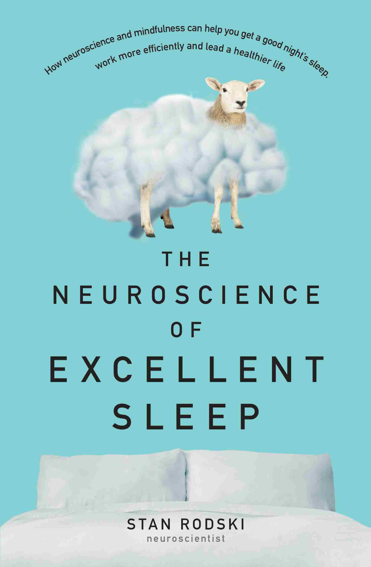 The Neuroscience Of Excellent Sleep How Neuroscience And Mindfulness Can Help You Get A Good Nights Sleep Work More Efficiently And Lead A Healthier Life Stan Rodski