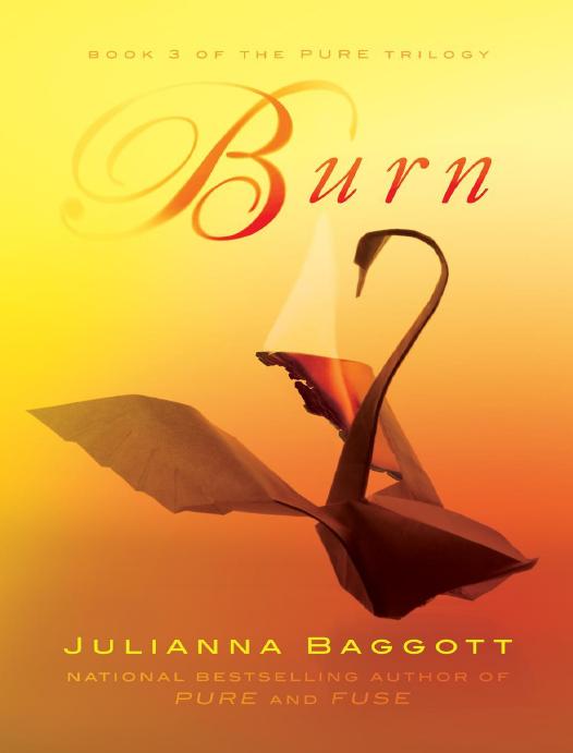 Burn Julianna Baggott