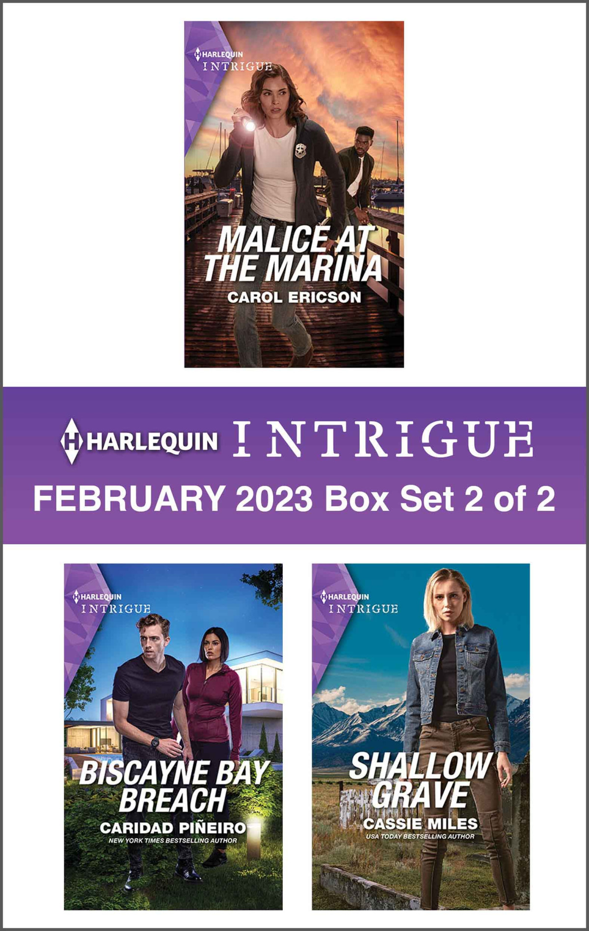 Harlequin Intrigue February 2023box Set 2 Of 2 Carol Ericson