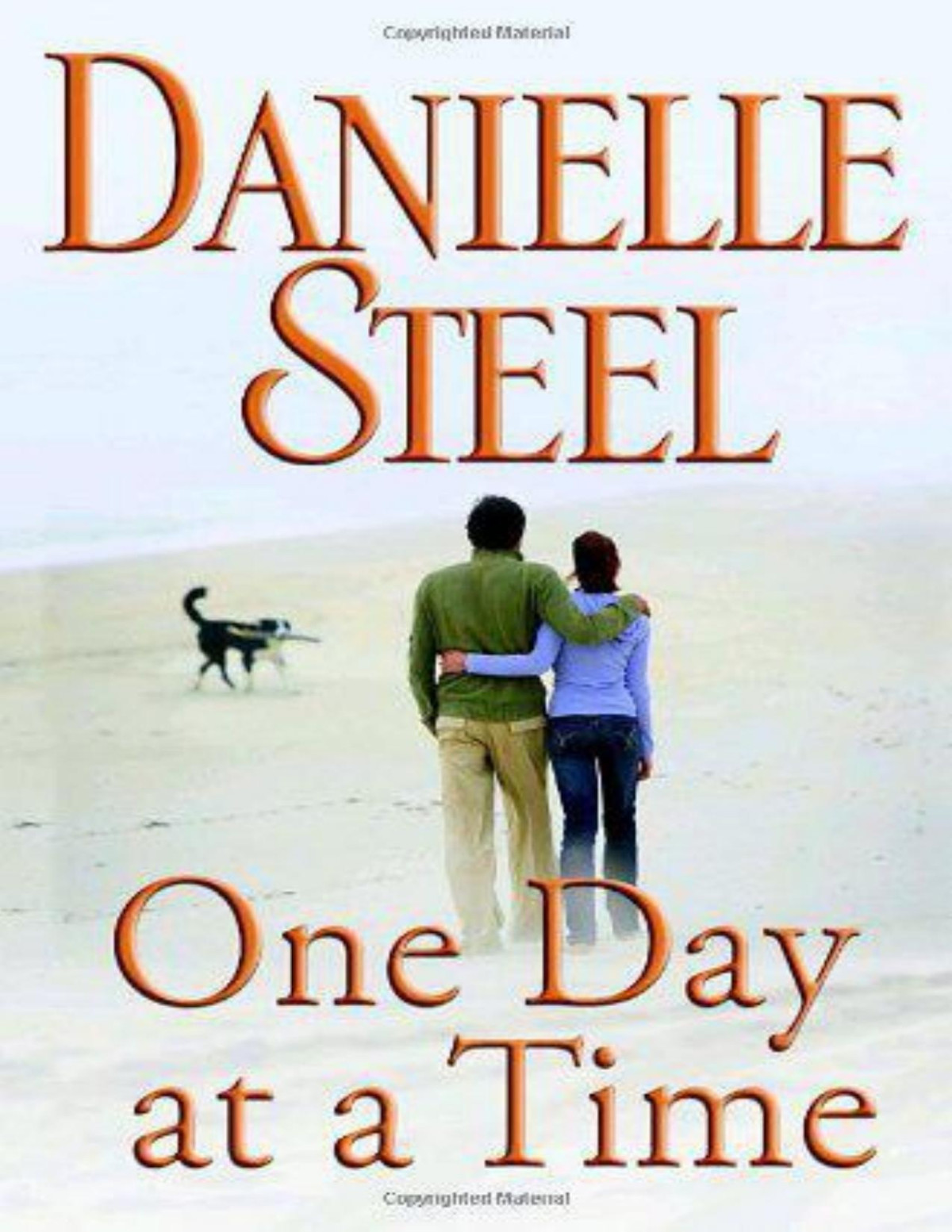 One Day At A Time 1st Edition Danielle Steel