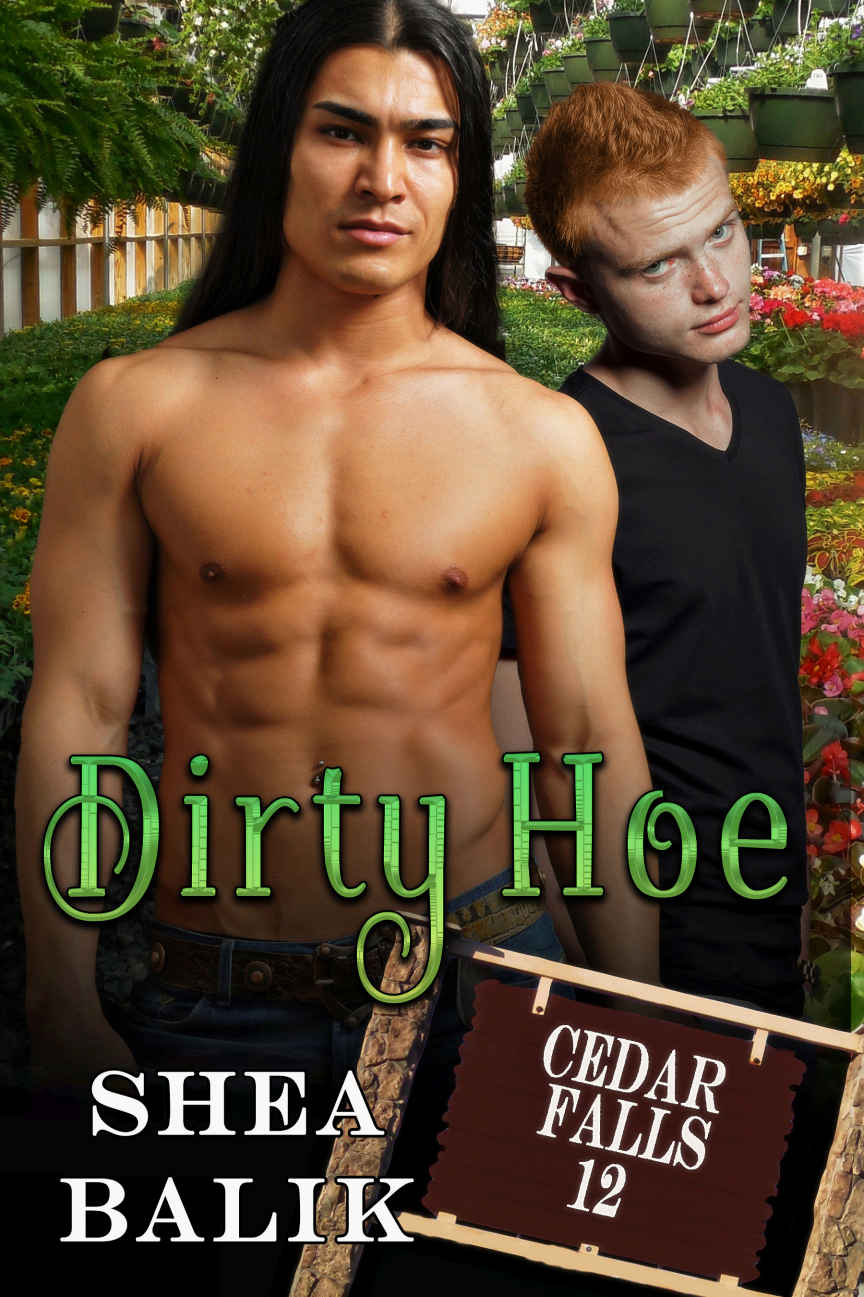 The Dirty Hoe Cedar Falls 12 Shea Balik