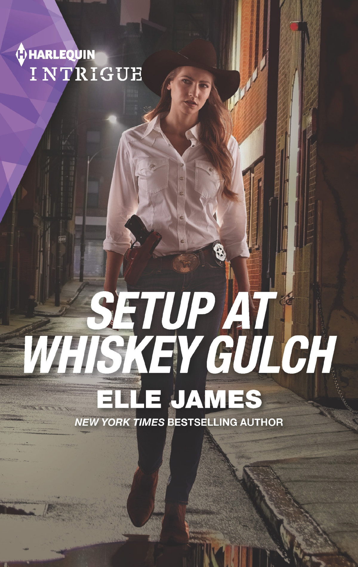 Setup At Whiskey Gulch 1st Edition Elle James