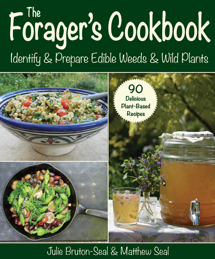 The Foragers Cookbook Identify Prepare Edible Weeds Wild Plants Julie Brutonseal
